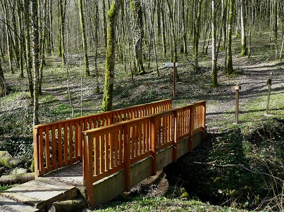 Pont en bois