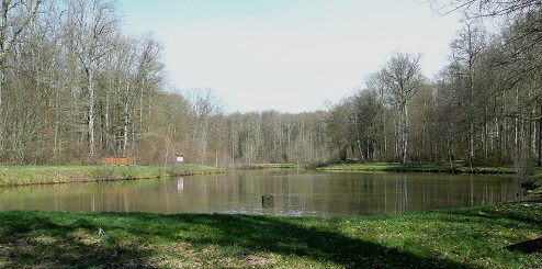 Étang de la Héronnière