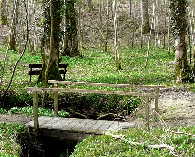 Passerelle avant la source pétrifiante, forêt de Signy-l'Abbaye Passerelle