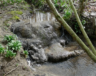 Source pétrifiante
