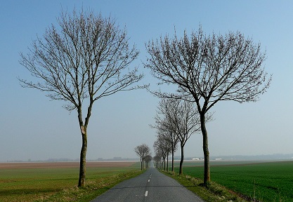 Allée vers Berméricourt Allée vers Berméricourt