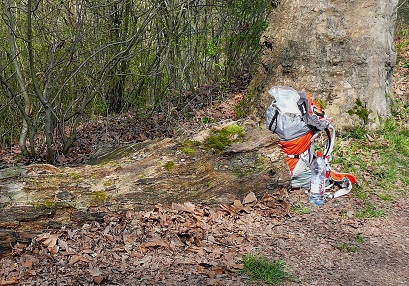 Tronc d'arbre et sac à dos