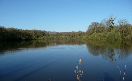 Étang de la Renouillère