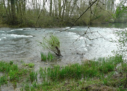 La Seine