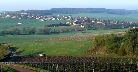 Bragelogne
