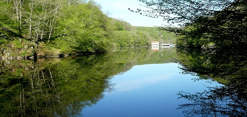 Bassin d'accumulation du bois de Cure