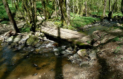 Passerelle sur le Saloir