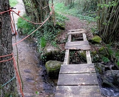Passerelle sur le Crescent