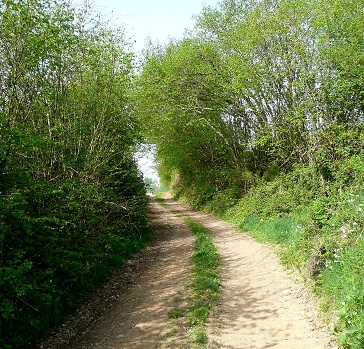Chemin après Marigny