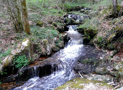 Le ruisseau de Breuil