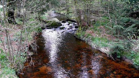 Le ruisseau du Vignan