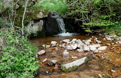 Ruisseau du Pré Riolot