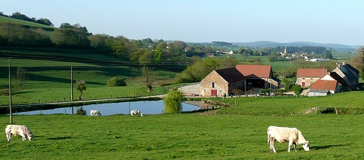 Ferme de Bellerue
