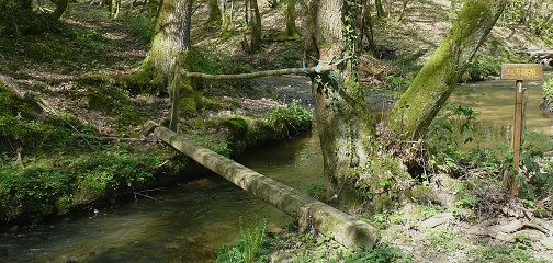 Passerelle sur la Teugne