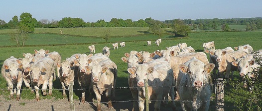 Au chemin des Peurs