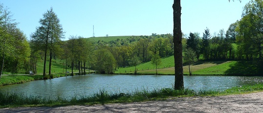 L'étang de Bert