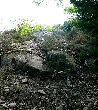 Descente après Notre-Dame de Trayon