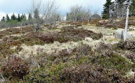 La Montagnette
