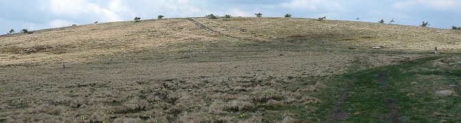 La Roche Courbe