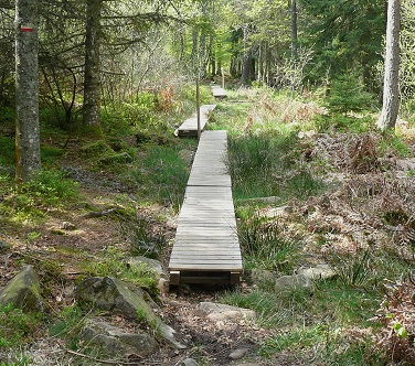 Caillebotis près du mont Fouet