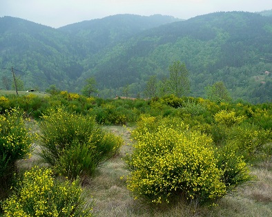 La vallée de l'Andrable