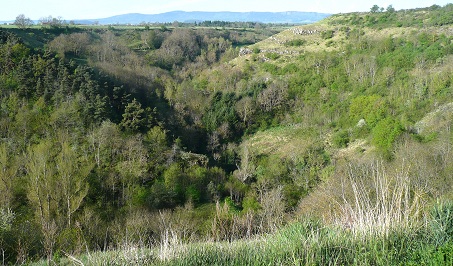 Le ravin du ruisseau de la Roche