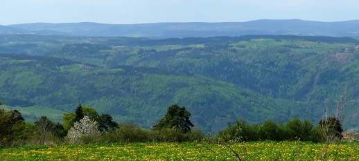 Vue sur la Margeride
