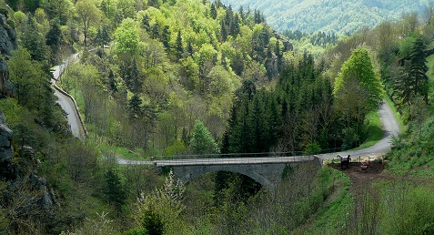La vallée du Rouchoux