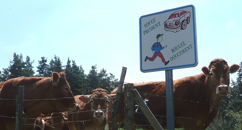 Soyez prudent, roulez doucement