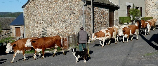 La Chaze de Peyre (2)
