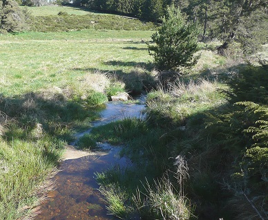 Le Riou Frech