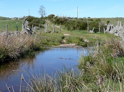 Chemin inondé