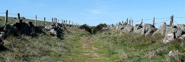 Chemin bordé de murets en pierre