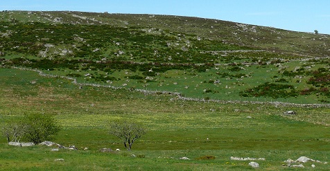 Aubrac (2) - Finieyrols