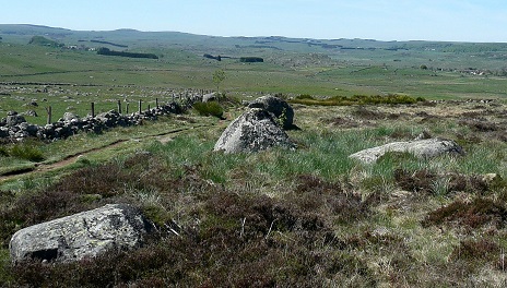 L'Aubrac au roc des Loups (1)