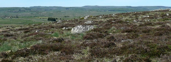 L'Aubrac au roc des Loups (2)