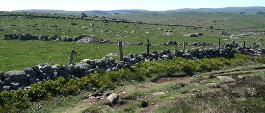 L'Aubrac au roc des Loups (3)