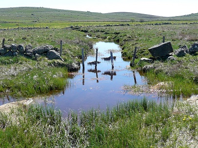 Le Ruisseau de la Peyrade