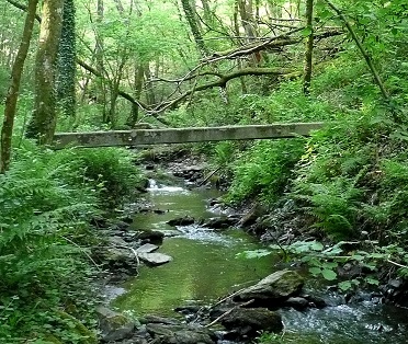 Passerelle sur le ruisseau de la Brousse