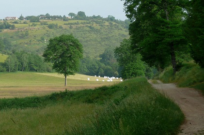 La vallée du ruisseau de Planioles