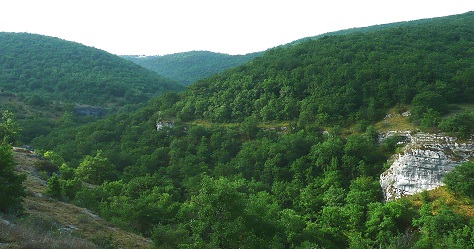 Les gorges de l'Ouysse
