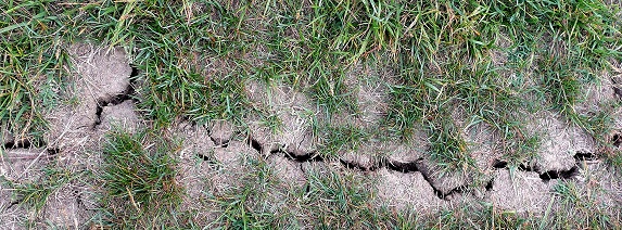 Crevasse dans le sol