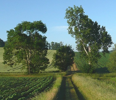 Longue allée droite