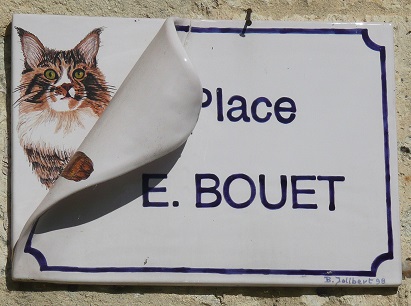 Petit chat curieux