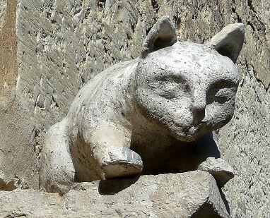 Un chat me regarde d'en haut.