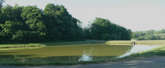 Vaste pisciculture (1)