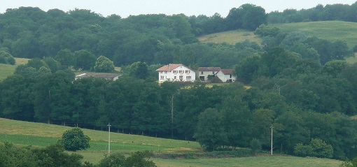 Paysage du sud des Landes