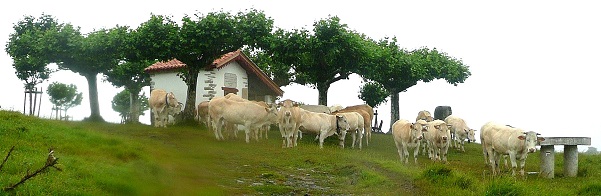 La chapelle de Soyarza