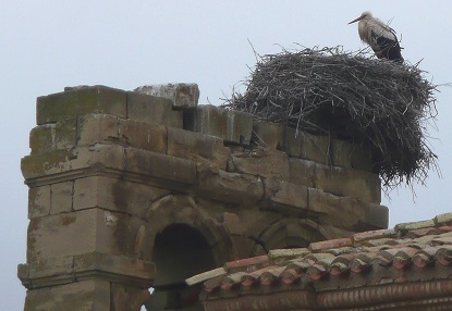 Nid de cigogne à Viana