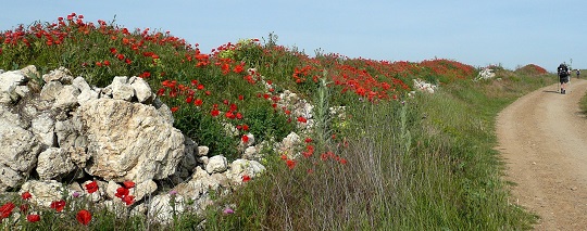 Début de la meseta